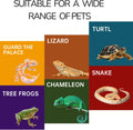 Reptile Hide for Leopard Gecko,Bearded Dragon,Ball Python & Tortoise – Terrarium Habitat Décor, Snake & Lizard Hideout (