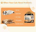 Cat Probiotics Tasty Chews –500 Chews Crunchy & Creamy Texture, with Fish Oil Omega-3 Skin & Coat Health Digestive & Gut Support, Constipation Relief, Healthy Stool, Chicken Flavor with Cheese Center