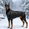 Lovelonglong Cool Dog Leather Jacket, Warm Coats Dogs Windproof Cold Weather Coats for Large Medium Small Dogs, Boston T
