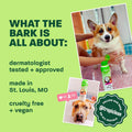 TropiClean Dog Conditioner, Easy Detangling & Moisturizing Conditioner, Puppy Safe, Made in the USA, Kiwi & Cocoa Butter Scent, 20oz.