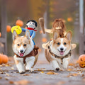 DELIFUR Dog Halloween Costume Funny Dog Cowboy Riding Costume Pet Costume Cat Suit Cowboy Rider Style for Small Medium L