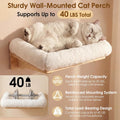 6-in-1 Cat Wall Shelves for Large Cats, Wall Mounted Climber with Hammock