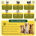 Dog Shoes for Hot Pavement and Snow - Waterproof, Non-Slip, Breathable Booties with Adjustable Straps for Small Medium, 