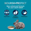 Kaytee Forti-Diet Pro Health Nourish+Protect Adult Rabbit Food, 5 lb