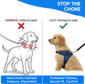 Copatchy No Pull Reflective Adjustable Dog Harness With Handle- Comfortable Soft All Weather Mesh, Easy On Puppy Harness For Small Medium and Large Dogs (Blue) Small
