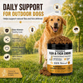 Chewable Flea and Tick Prevention for Dogs - 200 Soft Chews - Oral Flea and Tick Pills for Small, Medium, Large Dogs and