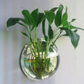 Wall Mounted Plant jar, can Hang Flower vases for wall Decoration, shatterproof Round Acrylic jar Bowl, Suitable for Hom