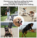 BARKLESS Dog Head Collar, No Pull Training Collar with Soft Padding