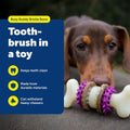 PetSafe Busy Buddy Bristle Bone Dog Treat Holding Chew Toy, Medium