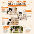PUAINTA Heart Support - Taurine for Dogs & Cats, Senior & Overweight, 90 Ct
