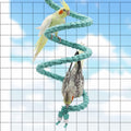 Dnoifne 59 Inch Spiral Rope Perch, Bird Cage Stand Pole Accessory, Climbing Toy for Parrot, Parakeet, Budgie, Lovebird, Cockatiel (59"/1.5 M)