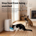 HoneyGuaridan RFID Automatic Cat Feeder with Collar Tag-Activated Personalized Meal, 5G WiFi APP Control Cat Food Dispen
