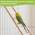 10 Pcs Wood Step Ladder for Bird, 3-10 Step Hanging Bird Ladder Parrot Cage Climbing Toy & Cylindrical Support for Parak