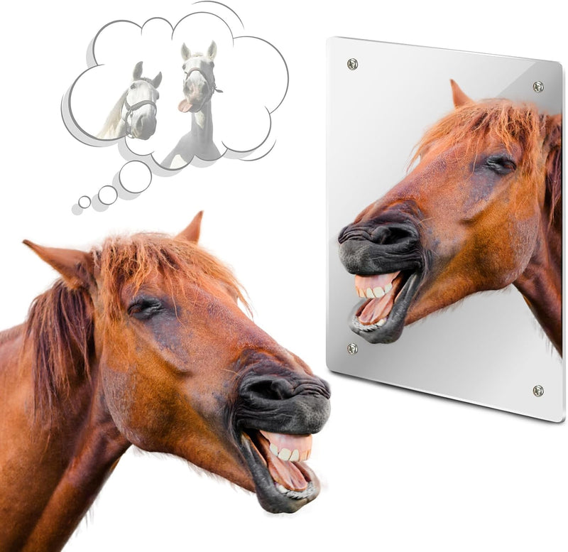 Sukh Acrylic Horse Mirror - 16.92 x 12.99 in Non Glass Stall Mirror