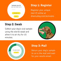 DNA My Dog – Premium Health & Breed Bundle | Breed ID Test (350+ Breeds, 99% Accuracy, Health Test, Age & Wolf DNA) & Al
