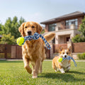 Erhalithegro Interactive Tug of War Rope Toy for Medium & Small Dogs - Outdoor Tether Tug Toy with 1 Knot & Tennis Ball, Puppy Teething Chew Cotton Toy