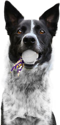 Littlearth NFL Pet Ball Launcher