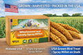 Birds LOVE 1 LB Wholesome Spray Millet for Birds – USA Grown, Natural Sun-Dried Millet Sprays – Thick Seed-Rich Clusters for Parakeets, Budgies, Cockatiels, Conures, Finches & Parrots