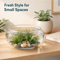 POPETPOP Transparent Aquarium Tank 9.52 Inch Desktop Betta Tank Plastic Fish Bowl for Home Office Decor with Plants and 