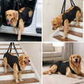 Dog Lift Harness with Pocket Full Body Adjustable Handle Sling,XL