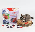 Crunchez Berry Blend - Crunchy Fruit Flavored Treat Bites - Sugar Gliders, Squirrels, Marmosets, Prairie Dogs, Hamsters,
