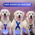 Saintrygo 2 Dog Suspenders Diaper Soft Adjustable