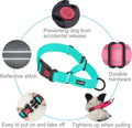 Haapaw Escape-Proof Martingale Dog Collar