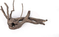 LANDEN Spider Wood Natural Aquarium Decor Branches 4pcs 12-16in Decoration
