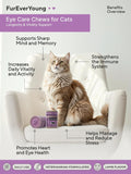 Supplement Treats for Senior Cats ~ Vision & Brain Longevity | Premium Feline Supplement | Functional Mushroom Complex + Taurine | Vet-Formulated with DHA, Arachidonic Acid & L-Arginine