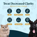 OcluVet Vision Chews Eye Supplements for Dogs & Cats, 60 Count