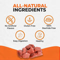 Canine Naturals Beef Chew - Rawhide Free Dog Treats - Made with Real Beef - Poultry Free Recipe - All-Natural and Easily Digestible - 40 Pack of 5 Inch Stick Chews