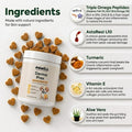DermaPrex Dog Allergy Chews – Anti Itch for Dogs | Borage Oil, Omega 3, Vitamin E | Dog Itching Skin Relief, Hot Spot Tr