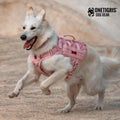 OneTigris Tactical Dog Harness for Small Dog, No Pull Small Dog Vest Harness with Handles Breathable Military Dogs Molle