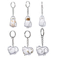 BTYYIHEX 6 Pcs Cat Hair Keepsake Keychains – 2025 New Memorial Capsule Pendants, Fur Holder Bottles for Cat Lovers, Thoughtful Pet Loss or Birthday Gifts