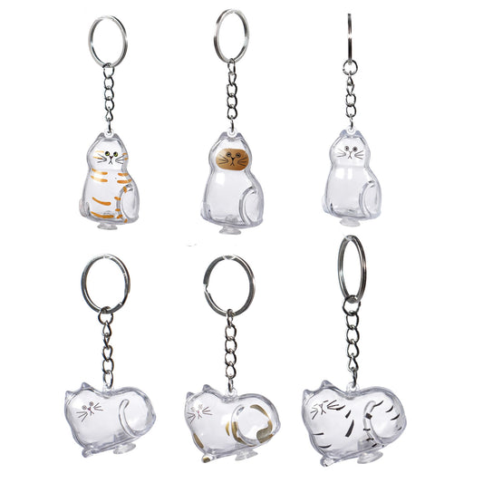 BTYYIHEX 6 Pcs Cat Hair Keepsake Keychains – 2025 New Memorial Capsule Pendants, Fur Holder Bottles for Cat Lovers, Thoughtful Pet Loss or Birthday Gifts