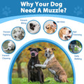 LUCKYPAW Dog Muzzle Suits for Small Medium Large Dogs, Mesh Muzzle Anti Biting Chewing, Breathable Mouth Cover Set with Adjustable Strap for Grooming Vet Visiting Training, 7 PCS(XXS-XXL), Black