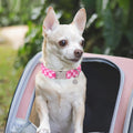UP URARA PUP Dog Collar for Summer,Cute Pink Plaid Dog Collar,Cotton Puppy Collar with Adjustable Metal Buckle for Small,Medium,Large Girl Boy Dog