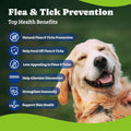 YoYoBay Flea & Tick Prevention for Dogs Chewables, Natural Dog Flea and Tick Control Treatment, Oral Flea Pills, Dogs Supplement, Natural Shield 5-in-1 Protection, Beef & Carrot Flavor, 180 Soft Chews