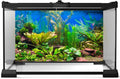 Aquarium Background Various Underwater Grass Plants Aquarium Backdrop Vivid and Fresh Green Aquatic Plants Stone River B