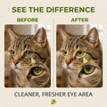 Dylan's cabin Cat Eye Wash, 180ml Gentle Pet Eye Cleaner Solution for Cats Dogs, Cleans Tear Stain Residue Dirt Debris, pH-Balanced Formula with Glycerin Honeysuckle Extract Lutein