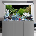 Aquarium Background Aquatic Plant Fish Tank Background Vinyl 24x12 inches