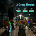 2 Packs Light Up Dog Collar, Kpuplol USB Rechargeable Dog Lights for Night
