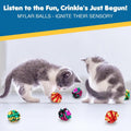SunGrow Cat Crinkle Balls, Mylar Interactive Toys for Indoor Cats, 6 Pcs