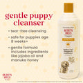 Burt's Bees for Pets Manuka Honey Tearless 2-in-1 Dog Shampoo and Conditioner, with Jojoba Oil, 95% Natural Origin, Free of Sulfates, Milk and Honey Scent, 16 Fl Oz