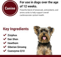 Vet Classics Cardiovascular Support Coenzyme Q-10 Dog Supplements – Pet Health Supplement for Dogs – Supports Dog Cardiovascular System – Includes Siberian Ginseng, Hawthorn – Chewable Tablets 120 Ct.