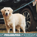 Pets First NFL Licensed Philadelphia Eagles Pet Leash, Size Large – Durable Satin Dog & Cat Walking Strap and Pet Tether with Embroidered Team Name & Logo