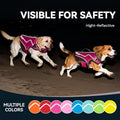 VIVAGLORY Dog Life Vest Neoprene Dog Swim Vest, M
