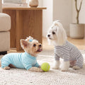 XPUDAC 4 Pack Dog Pajamas Striped Dog Clothes for Small Medium Dogs Girl Boy Comfy Puppy Outfit Doggy Jammies Onesie Pet Costume, Blue, Grey, Green, M