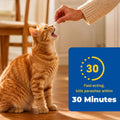 Broad-Spectrum Dewormer - (pyrantel pamoate/praziquantel) Tablets for Cats & Dogs (2 to 20 lbs)