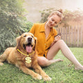FUNKA Gold Chain Dog Collar Adjustable Cuban Link Dog Necklace with Crystal Dollar Sign Pendant Cute Fashion Pet Jewelry Chain Puppy Cat Costume Outfits Accessories with Extender Chain